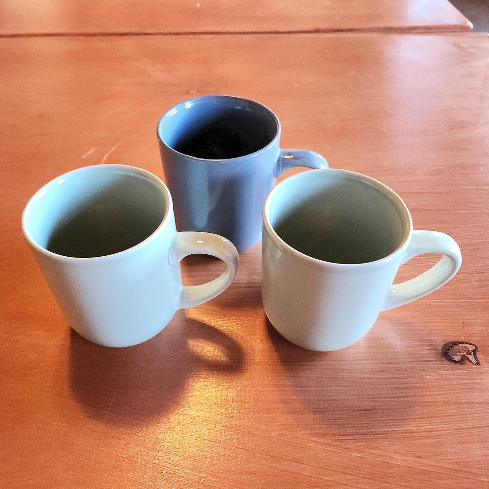 Mainstay Ceramic Mug Trio - Blue and White